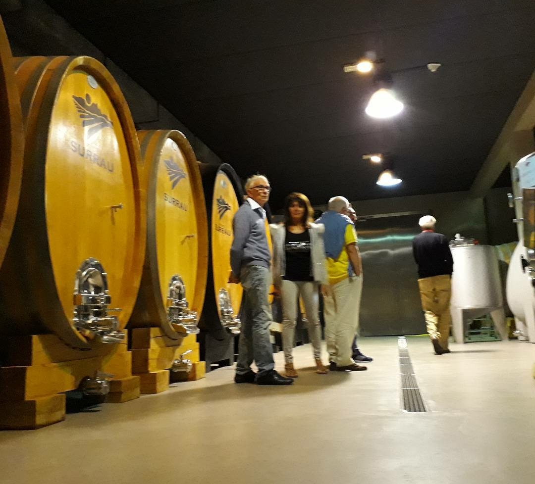 Wine tour Surrau